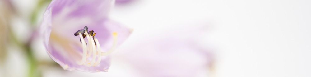 The Emotional Toll of Infertility: When to Seek Therapy and Support