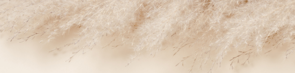 How to Improve Sperm Quality and Reduce DNA Fragmentation